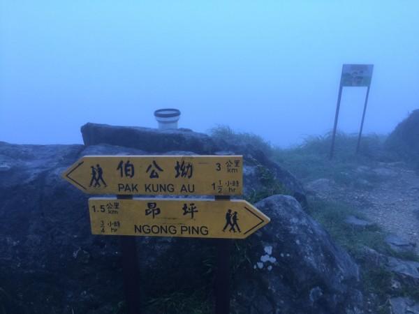 哪部漫画的哪个场景感动过你?- 专业问答网站