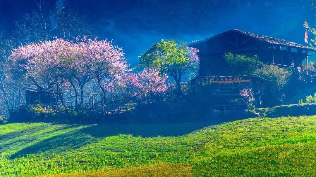 极度的疯狂